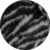Jacket 04. Zebra