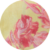 Marbella Lemon Blush