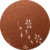 Valencia Soft Bronze